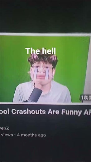 what is ts