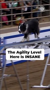 The Agility Level Here Is INSANE