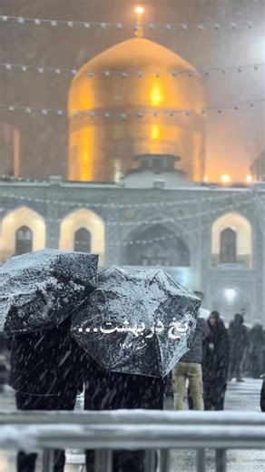 ‎عطیه سادات|عکاسی‎ on Instagram‎: ". میان برف به سویت کشیده شد راهم… . . بمونه به یادگار🖇️ مشهد/۱۴۰۴ به شرط لیاقت به یادتون هستم…🤍 . . . #مشهد #زیارت#حرم_امام_رضا #برف #امام_رضا"‎