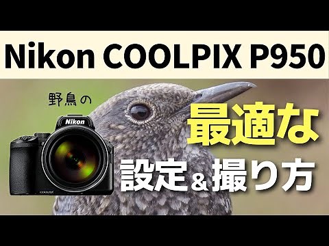 [Archival Edition] Complete Guide to the COOLPIX P950! This is the perfect tool for bird photogra...