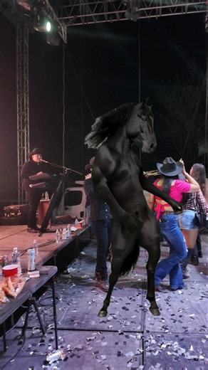 Cuando te llevas al caballo a un baile de #GrupoLaberinto 💣