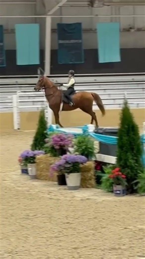 Me and Fred got 3rd in our second class!