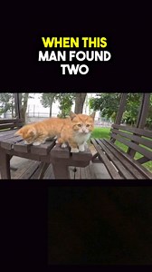 #Firecrackers #HowItsMade #ExplosiveArt #ManufacturingProcess #Tradition #Fireworks #BehindTheScenes #Shorts #ShortVideo #Fascinating #Educational #FactoryTour #Craftsmanship #FireworkProduction #Explosives #720P #60FPS | Carlv.