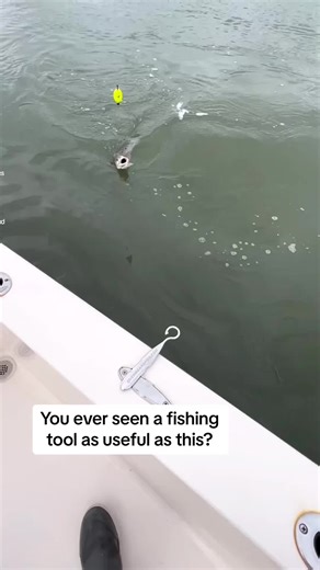 Have you ever seen a fishing product like this before? Awesome de hooker for the side of your boat! Great fishing gadget 👌 - - - 🎥//seaislandadventures// 📸 #fishinggadgets #fishingproduct #fishingvideo