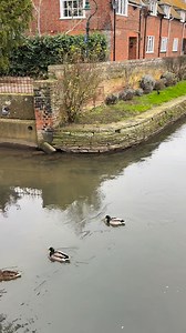 14K views · 617 reactions | Canterbury is a historic city in Kent, southeast England, best known for its cathedral and medieval heritage. #canterbury #medieval #beautifuldestinations | Europe attractions | Facebook