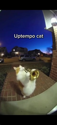 Explore Uptempo Music: Hardstyle and Techno Beats