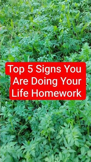 Signs you are doing your life homework