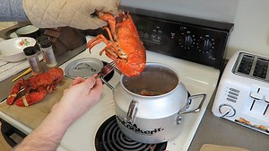 3.2K views · 42 reactions | Who doesn't love seafood!? Here's a quick & easy seafood recipe out of the CanCooker Jr! | CanCooker | Facebook