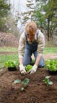 Unlock Quick Dividend Wealth: Everyday Savings Hacks Revealed (ELI5 Guide)