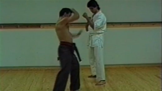 A Bible of Kicking Knowledge… for $29.98 ? Back in 1987, my life changed when I won the Kyokushin Bare-Knuckle Championships with 4 decisive victories in one evening WITH KICKS! This was not possible without the generous sharing of knowledge from some of the most technical proponents of the Kyokushin and World Oyama Organization to a wide-eyed kid from Yonkers, NY who stumbled upon a small karate dojo in Westchester in 1980 eager to learn everything about Martial Arts. ✔️ Marco Lala's "Ultimate 