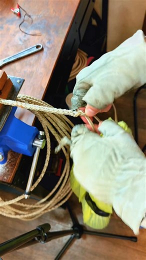 Completing the braid on a rawhide Reata or Riata. Otherwise known as ...-000 | Scottgorera whide | Facebook