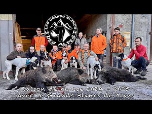 Saison de chasse 2024 - 2025 avec les Grands Blancs des Alpes