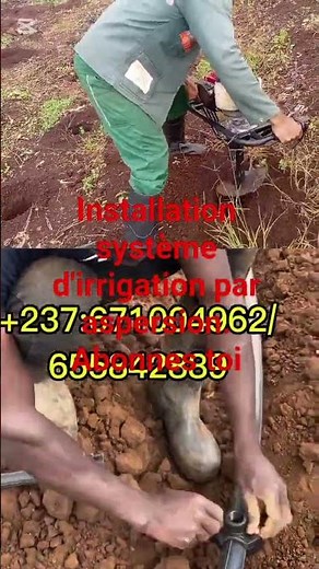 installation système d'irrigation par aspersion.