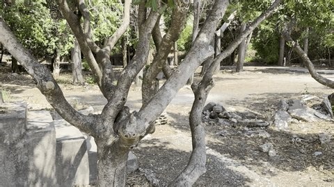 clip-4001681377-horizontal-real-life-footage-shows-abandoned-tropical ...