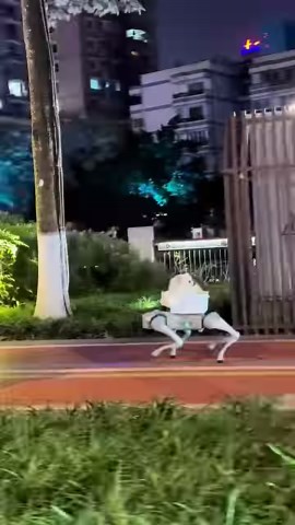 7K views · 49 reactions | Check out the future of dog walking! An adorable dog sits comfortably on the back of a robotic dog, leisurely strolling through the streets of #Chengdu. This futuristic dog walking scene has caught the attention of many passers-by. #pet #robot #tech #future (Cr.107529636) | T-Time HK | Facebook