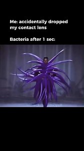 Reminder: always clean your contact lens properly with multipurpose solution before wearing it again. Eye safety first 👌 #coloredcontacts #memes #meme #cosplymemes #contactlenses | PinkyParadise - Largest Circle Lens Store