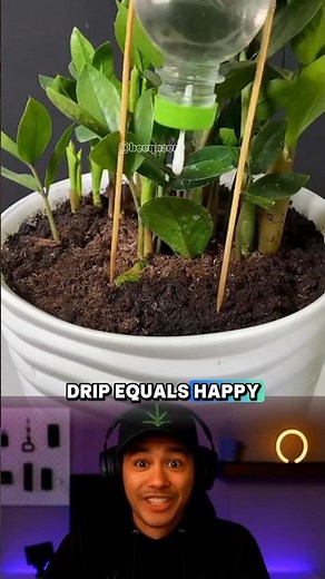 Automatic Plant Waterer from a Plastic Bottle (DIY) #DIYShorts