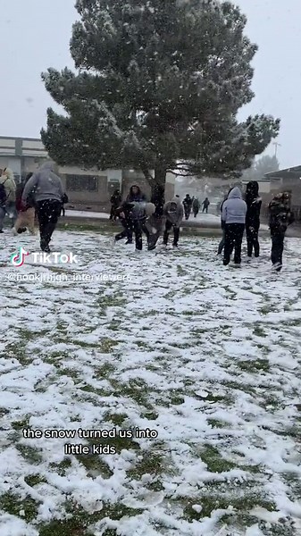 hookjrhighinterveiwers (@hookjrhigh_interviewers)’s videos with poison tree by grouper - ★