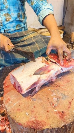 Big Bighead Fish Cleaning & Perfect Cutting Skill #shorts
