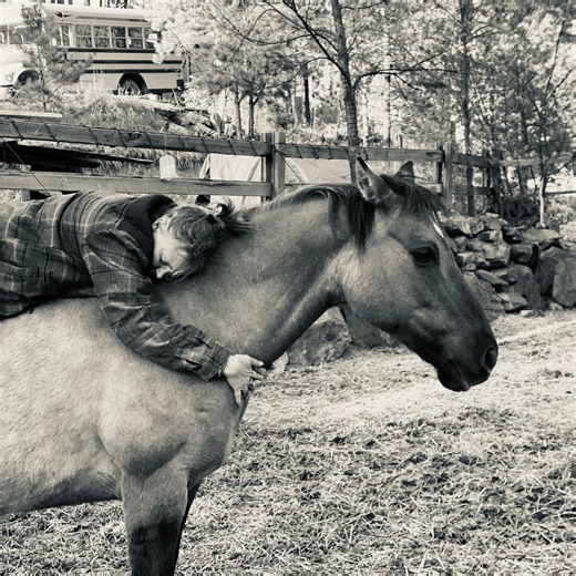 Investigation on deceased horse continues