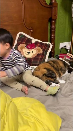 不愧是猫带大的仔，坚定的相信自己也有尾巴【海藻爱妈妈】#萌宠 #可爱猫咪 #铲屎官