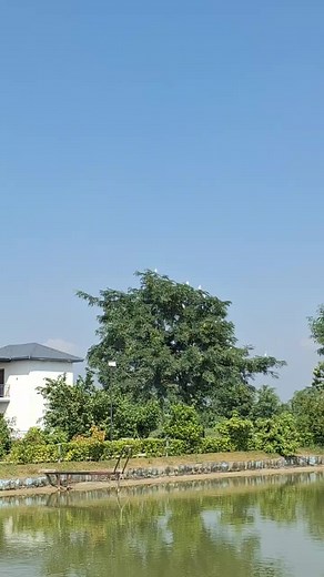 Explore Nature Retreats at The Lumbini Palace Resort