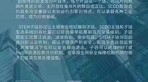 Web3.0公链，SCDO，已经开源，现货囤币布局。子链 分片 智能合约