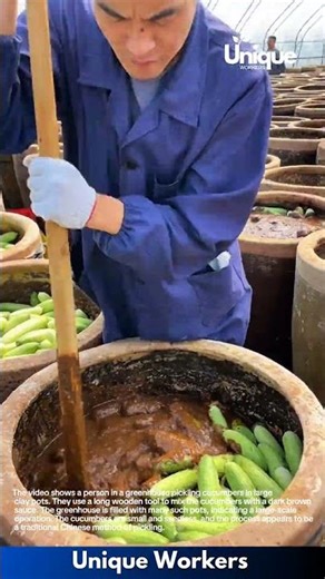 Pickling Cucumbers in Large Clay Pots: Traditional Chinese Method