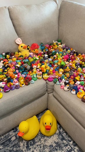 Rubber Ducks: More Than Just a Hobby