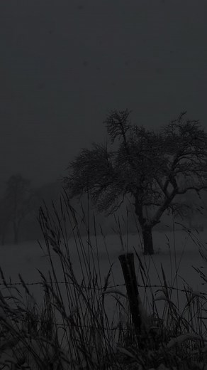 Exploring Dark Aesthetic in Nature Photography