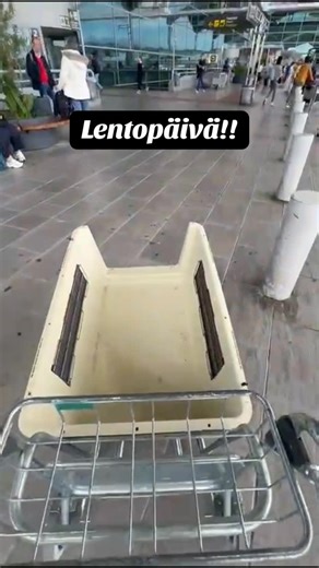Galgos del Fénix on Instagram: "Tänään lentokummimme Rikun matkassa Suomeen saapuvat Artie, Vanilla, Chitano ja viime lennolta jäänyt Rob! Tervetuloa Uuteen Elämään! @Galgos del Sol #galgo #galgosdelfénix #rescuekoira #adoptdontshop #koira"