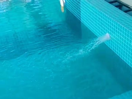 私家花园别墅游泳池水处理设备安装，池润桑拿设备有限公司，地产会所游泳池设备销售厂家，游泳池设计 游泳池恒温加热设备，郑州游泳池设备，青岛游泳池设备，游泳池清洁