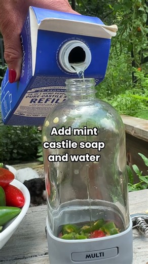 This hot pepper spray will get rid of small mammals and bugs in your garden #pestcontrol #garden