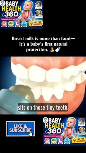 What Really Happens When a Baby Breastfeeds? 🤱🍼 (3D Animation)