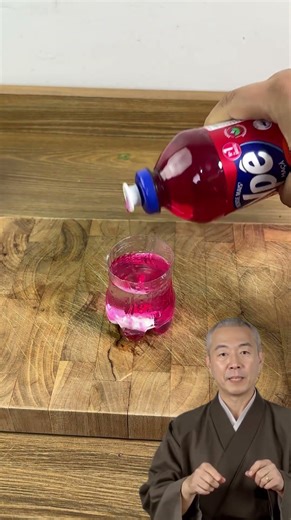 ¡Simplemente corta una botella por la mitad y repelerás las cucarachas de forma natural y económica!