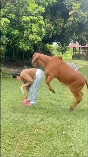 Comedy purposes only #Shorts #comedy #meme #Timelapse