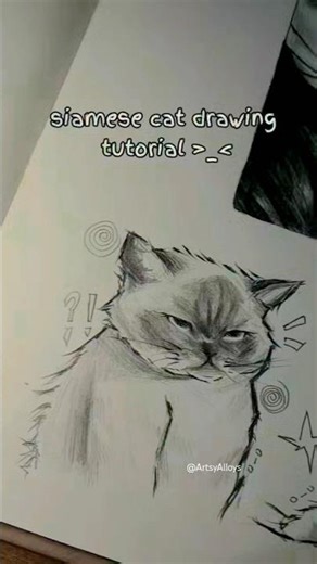 siamese cat drawing tutorial #youtubeshorts #art #drawing