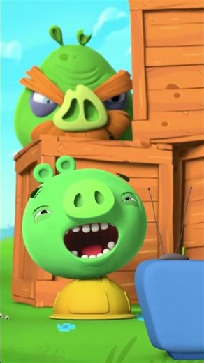 Watch your back Piggies 👀