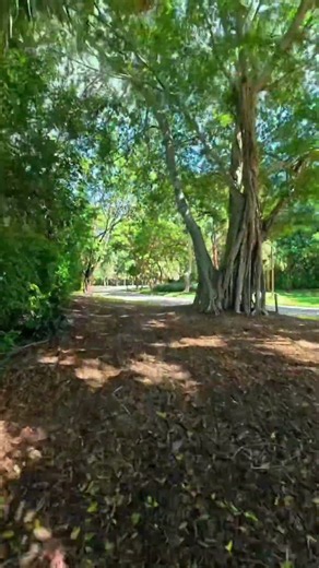 Riding Through Spanish River Park 🌴🌿 | Boca Raton’s Tropical Nature Trails