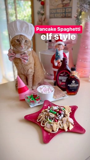 “We elves try to stick to the four main food groups: candy, candy canes, candy corns, and syrup.” 🍬🍝Can you believe the movie Elf is 20 years old this year? 🙀 What better way to celebrate than to recreate the classic Buddy the Elf breakfast scene! 🎄#elf #pancakespaghetti #buddytheelf #christmasrecipes #instagood #weeklyfluff #catsofinstagram #holiday | Princess Honeybelle