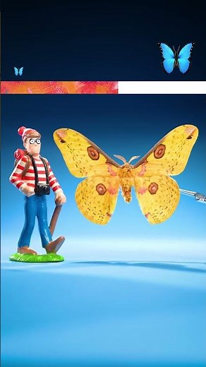 How Big is the World's Biggest Moth?