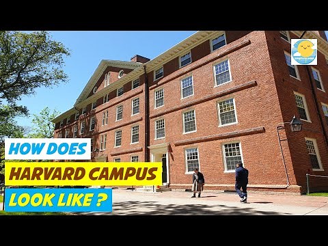HARVARD YARD TOUR || HARVARD CAMPUS || HARVARD SCHOOL