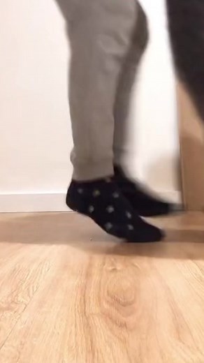 Gatitos y animales bailando el Tra Tra