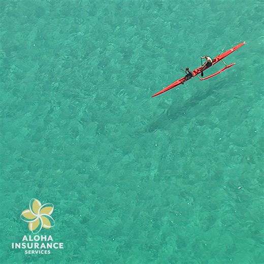 www.AlohaInsurance.com - Exceeding Your Expectations - 808-334-0044 Aloha Insurance Services, Inc. | Everything Hawaii
