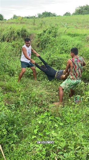 Flying with swimming | swimming