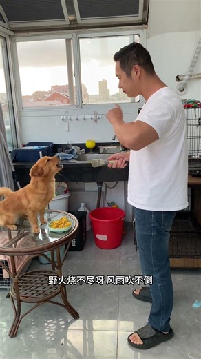 Teach your dog to sing "The Green Grass by the Riverbank."