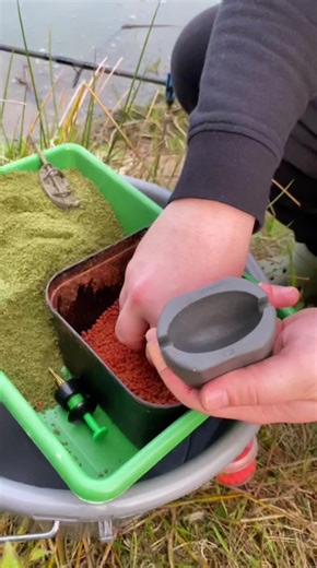 Smart carp rig setup insights every angler should know