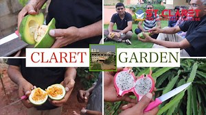 7.4K views · 316 reactions | You must have walked into our campus and completely missed all the amazing trees and plants we grow. On the occasion of World Environment Day, our principal Rev.Fr.Sojan Abraham takes us through the unseen trees and plants of the campus. Plant more trees, save the environment! Jai Hind! | ST.CLARET PU COLLEGE | Facebook