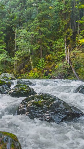 Most Relaxing Nature #Short You’ll See Today | 4K Total #Relaxation - Relax with Nature - #3