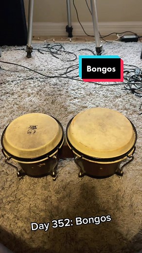 Instrument of the Day: Bongos - Small & Crusty But Sounding Great